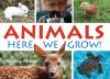 Animals___Here_We_Grow