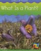 What_is_a_plant_