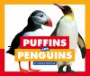 Puffins_and_penguins