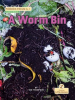 A_Worm_Bin